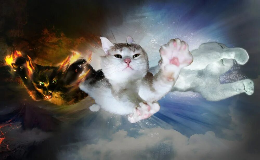 Мир котик. Летающие коты. кошки спасаю мир. котики с супер силами. летучий кот.
