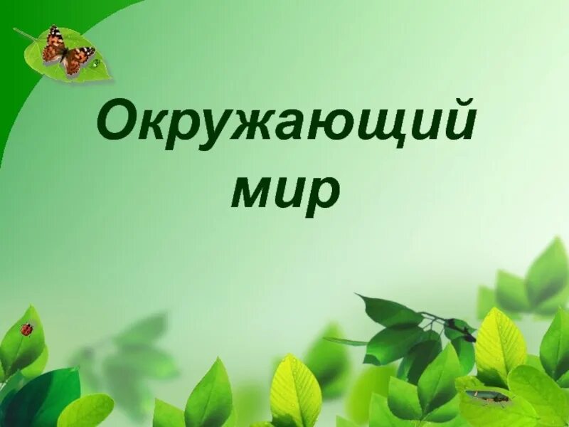 Урок по окр миру 4 класс. Окр.мир взрослая картинка.