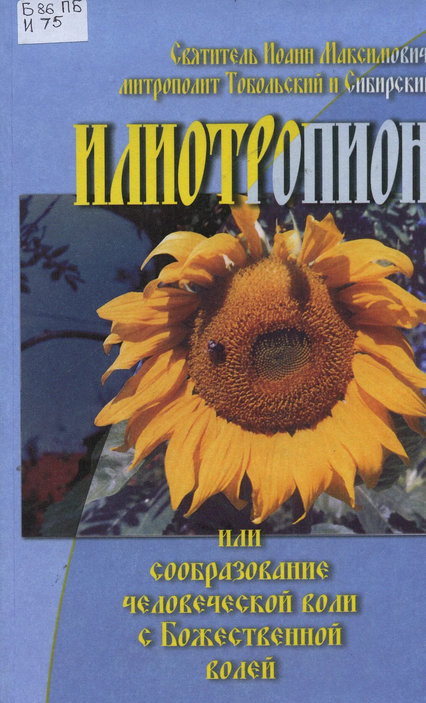 детские книги про подсолнух. книги и подсолнухи. подсолнух книга екатерина маркова. детские книги про подсолнух. подсолнечник книги.