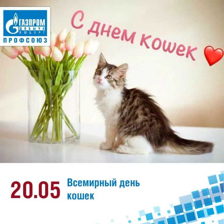 Всемирный день кошек в марте. Всемирный день кошек. Всемирный день кошек 8 августа. Всемирный день кошек открытки.