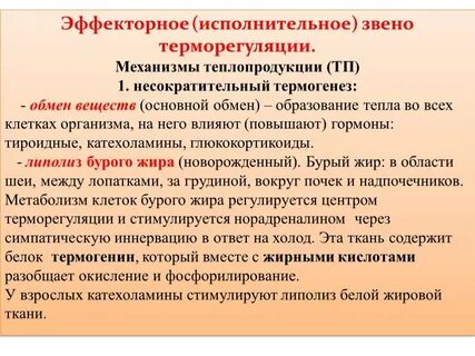 Несократительный термогенез обеспечивает