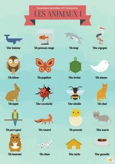 Il y a les