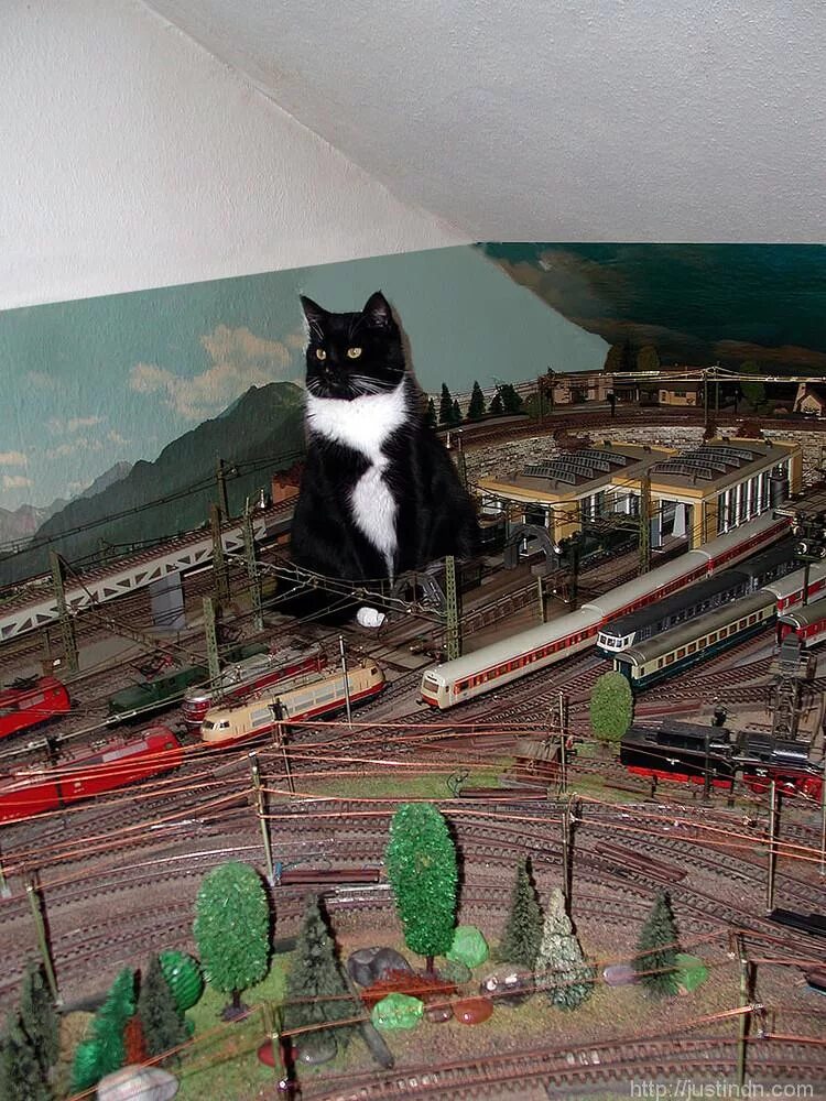 Кот железная дорога. Макет железной дороги. Железная дорога и котики. Кот на железной дороге. Кот и игрушечная железная дорога.