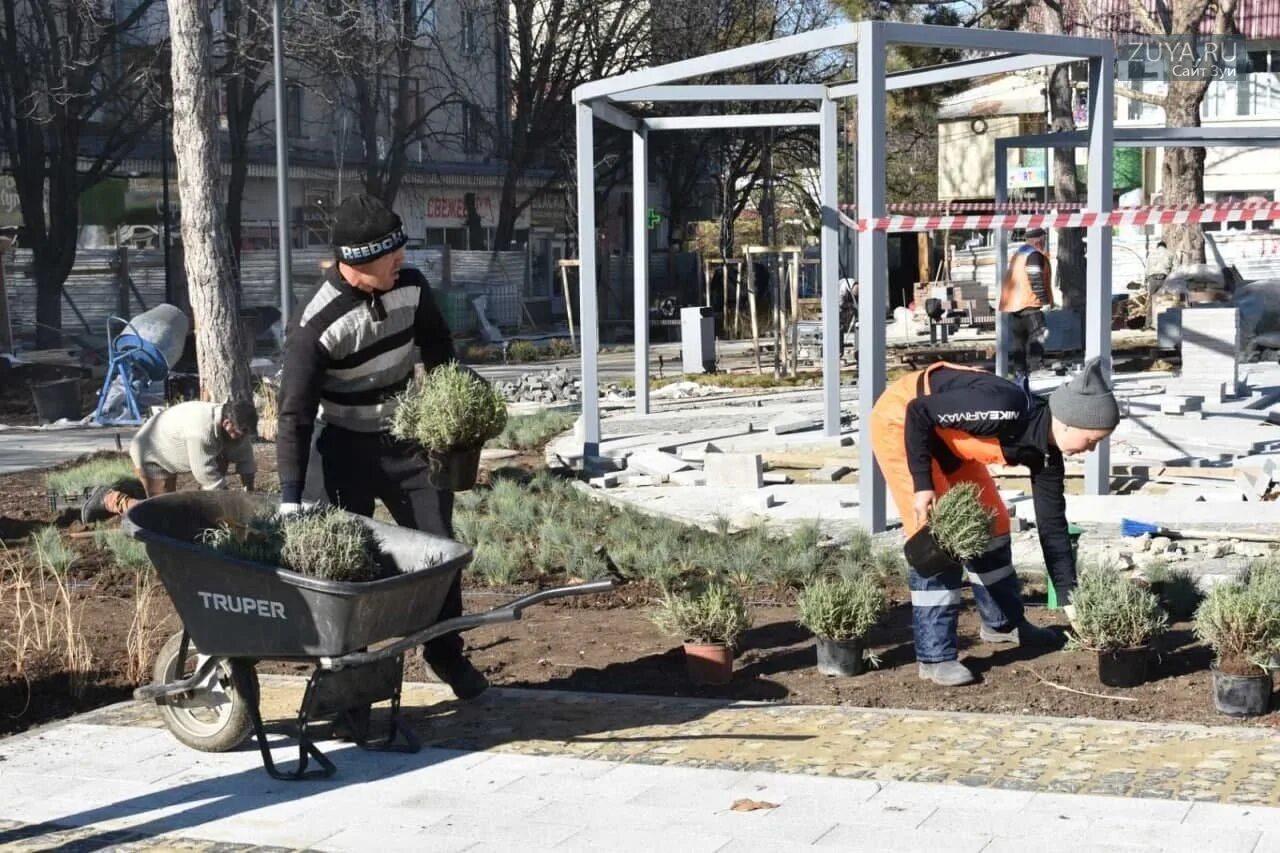 Площадь куйбышева симферополь. Сквер на Куйбышева Симферополь. Пл Куйбышева Симферополь благоустройство. Площадь Куйбышева Симферополь парк.