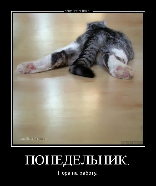 Понедельник на работу прикольные. Понедельник приколы. И снова понедельник. Завтра понедельник приколы. Стишки про понедельник.