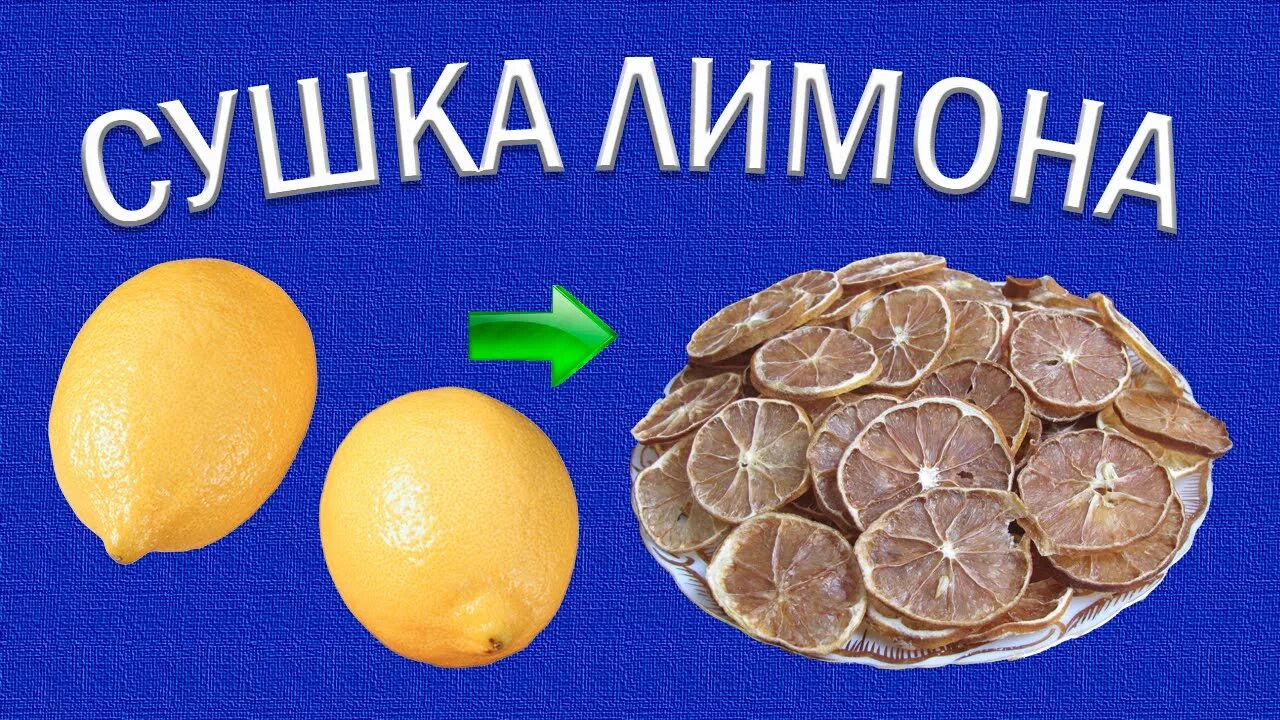 Сушка лимонов. Лимоны в сушилке. высушенный лимон. сушка лимонов в электросушилке. лимон в сушилке для овощей.