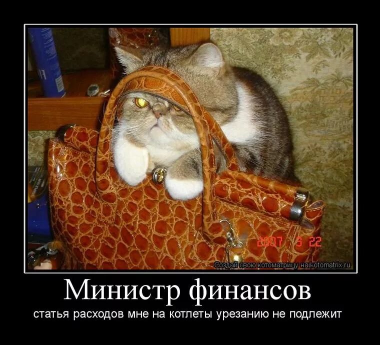 Почему безобразие