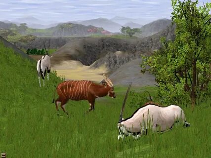 Wildlife two