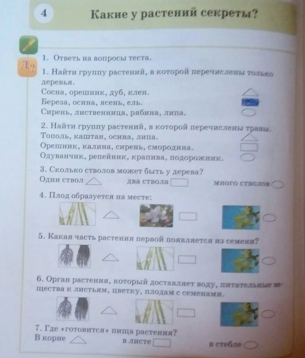 Тест по естествознанию 2 класс. Вопросы по естествознанию 2 класс. задания по естествознанию 2 класс. вопросы по естествознанию 4 классов. тесты по естествознанию 2 класс.