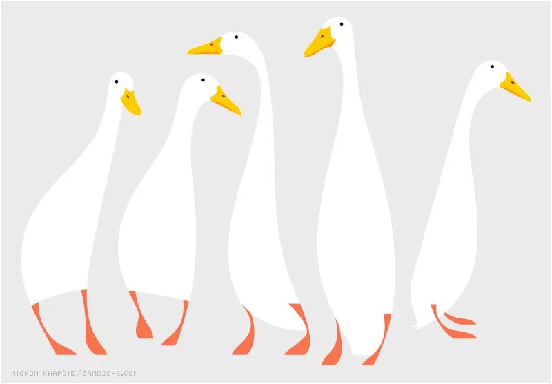 Гуси графика. Дикий гусь рисунок. Гуси силуэт черный. Зарисовка утки. Гуси графика.