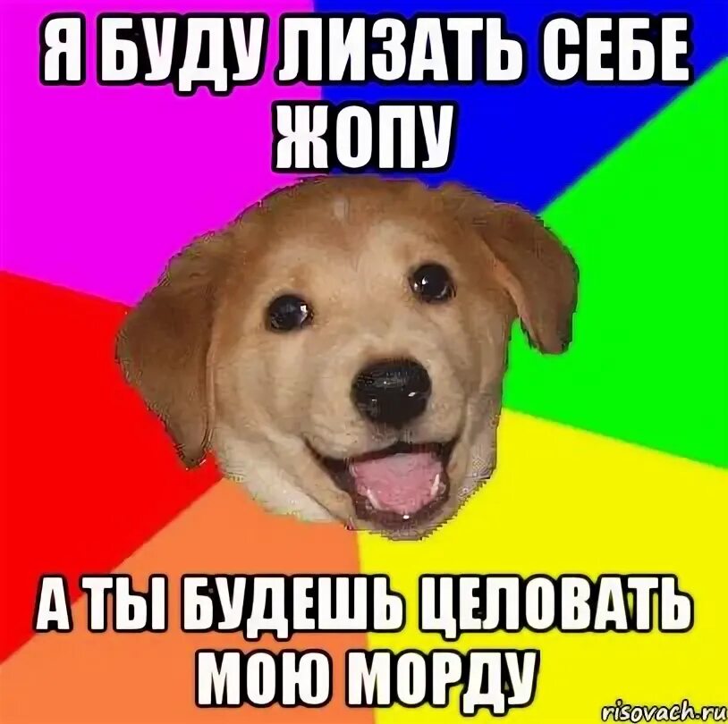 Мемы про важность. Можно тебя полизать. Можно тебя полизать. Можно тебя полизать. Мемы с отлизом.