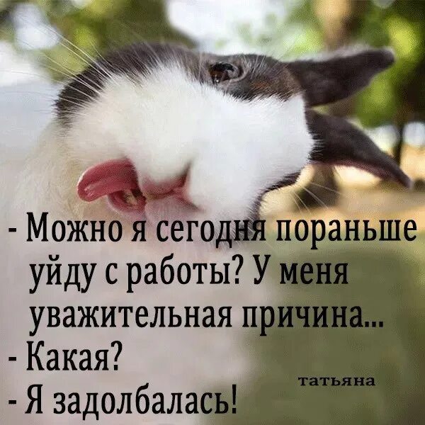 Постараюсь пораньше. Уйти с работы пораньше. ушла я с работы пораньше приколы. уйти с работы статус. работа не волк прикол.