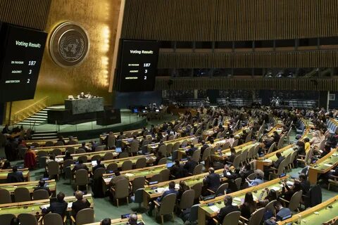 United nations high commissioner