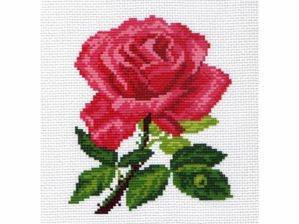 Рисунок на канве для вышивания крестиком. Вышивка Матренин Посад розы. Вышивка на канве розы. Канва с рисунком. Канва для вышивки.