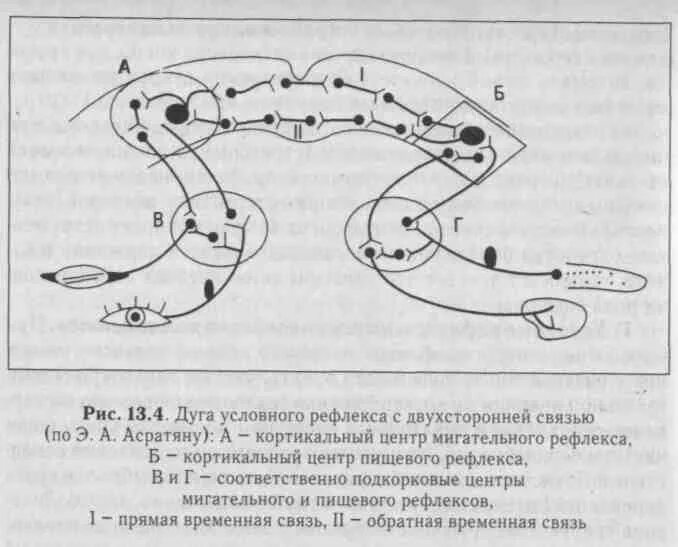 Временная связь рефлекс рефлекс. Схема образования временной связи условного рефлекса. Схему образования условного рефлекса по Асратяну. Схема формирования условного рефлекса по Павлову и Асратяну. Механизмы образования условно-рефлекторной связи.