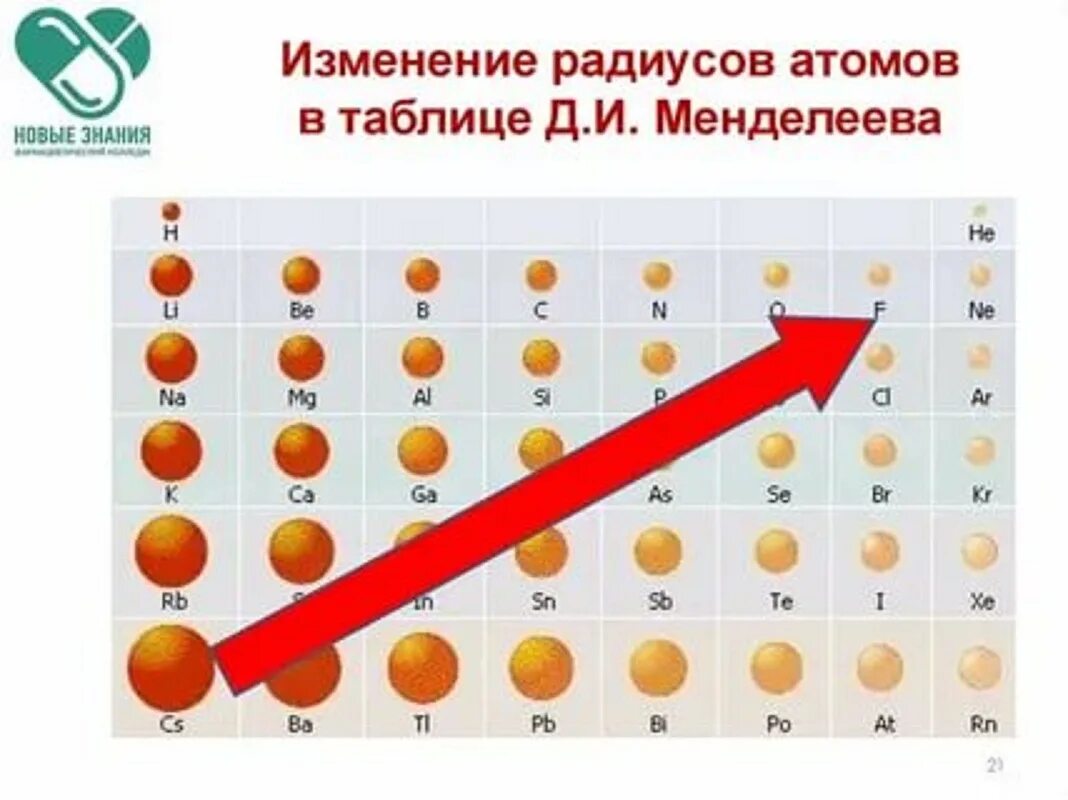 У какого элемента больше радиус атома