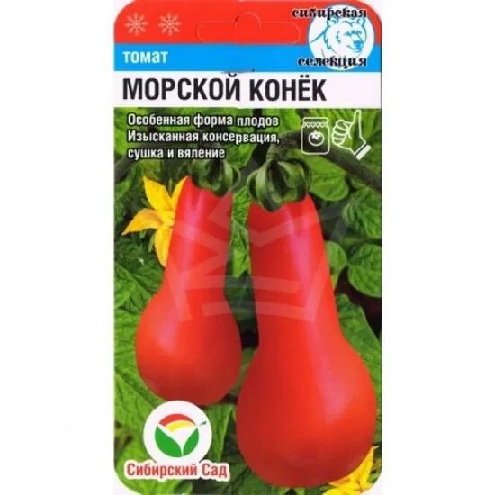 Томат конек горбунок. Томат морской конек сибирский сад. Томат морской конек сибирский сад. Помидоры сибирские. Томат морской конек.