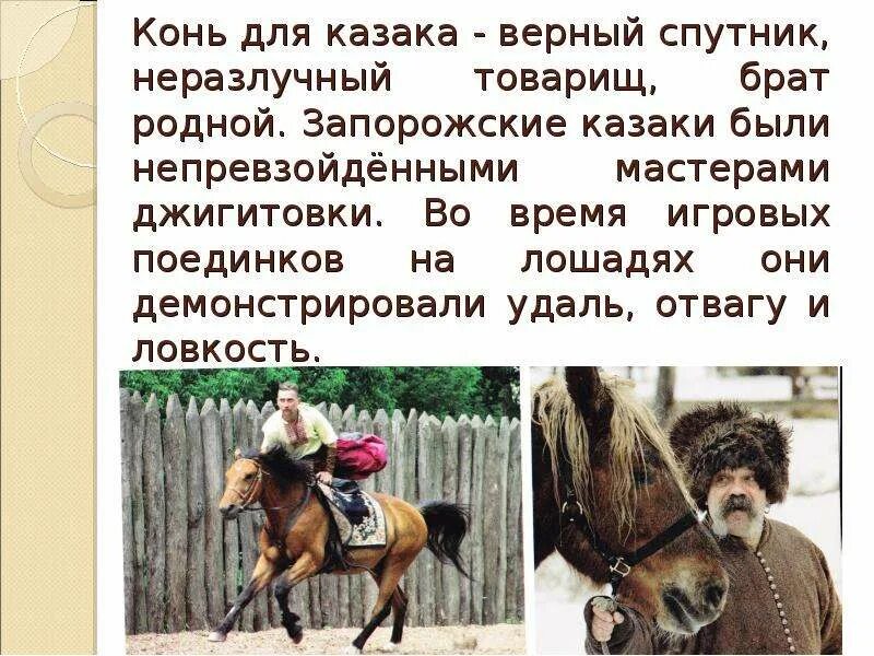 Предать товарища. Мой верный конь. Конь верный друг казака. Верный конь песня. Преданный товарищ.