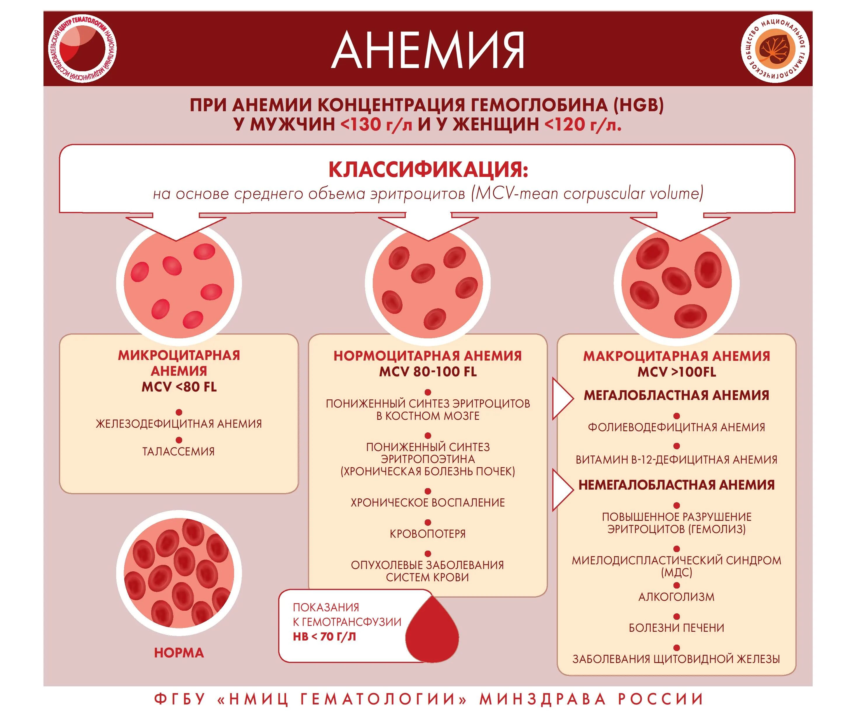 Больные малокровием. Гематолог заболевания крови.