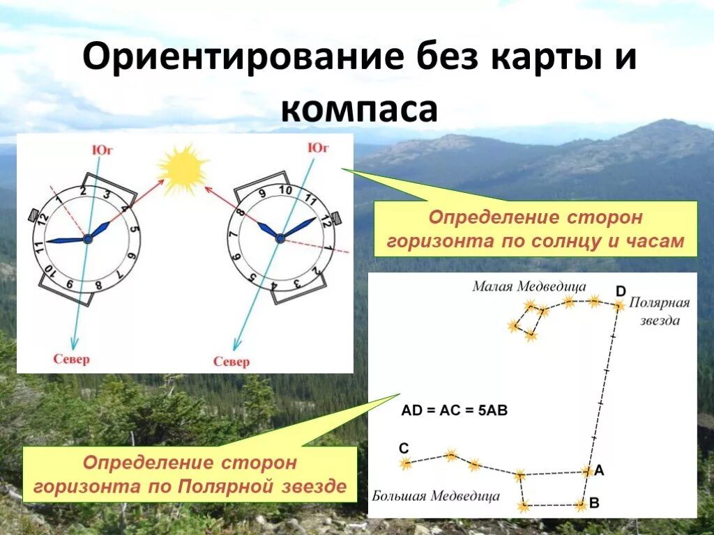 Ориентироваться на местности без карты. Ориентация на местности по карте. Ориентирование без карты и компаса. Способы ориентирования без карты. Ориентированы и т д