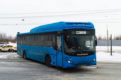 Санкт петербург кировск автобус