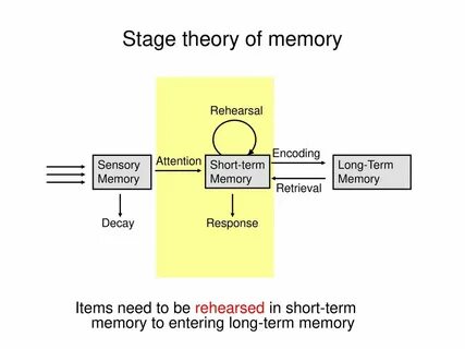 Long memory