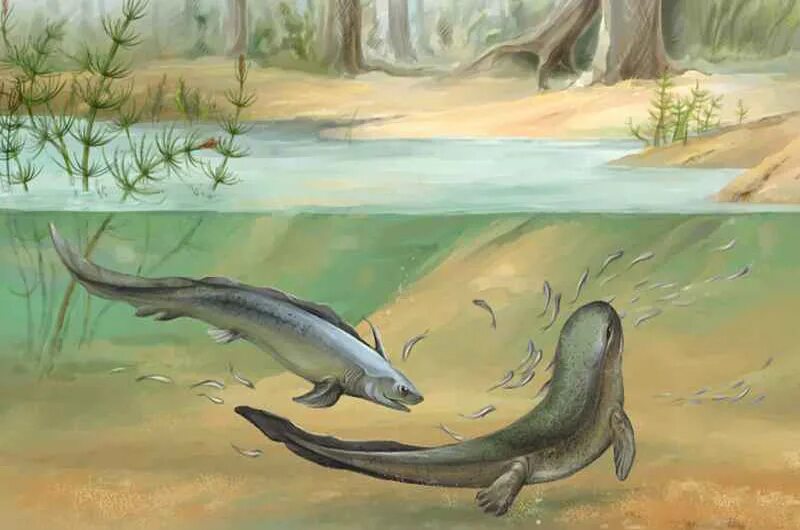 эра выхода животных на сушу. девонский период палеозойской эры. палеозойская эра девонский. палеозойская эра ихтиостега. эра выхода животных на сушу.