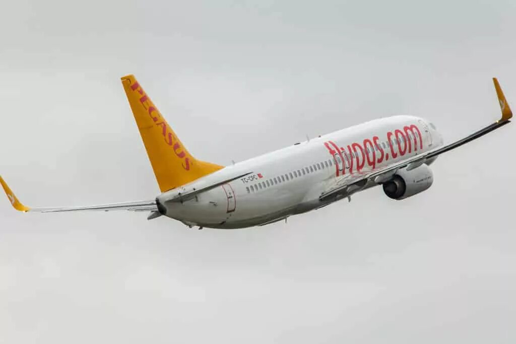 Пегасус купить авиабилеты на русском. Пегасус Аирлинес. Pegasus Airlines авиакомпании Турции. Пегасус Аэролайн. Пегасус Эйрлайнс самолеты.