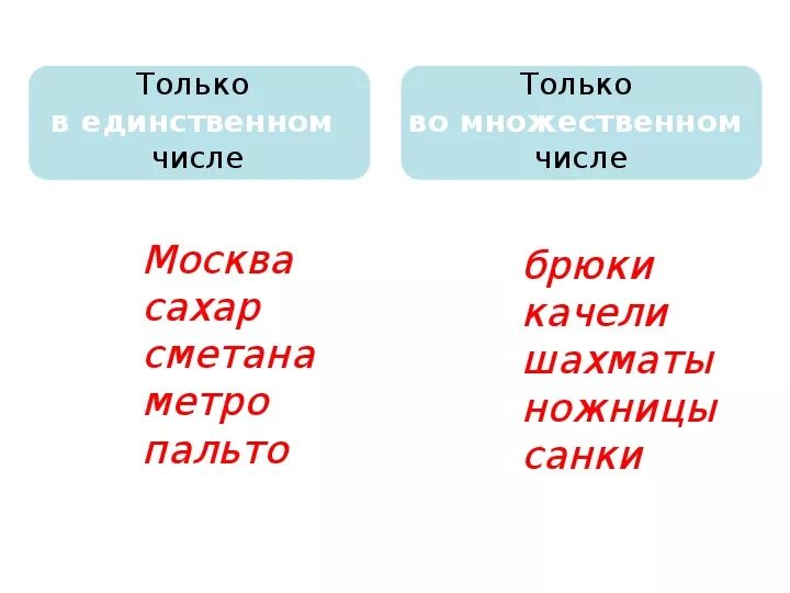 Солнце изменяется по числам 2 класс. Единственное или множественное. Слова только в единственном числе в русском. Единственное число в русском языке. Пальто число единственное или множественное.