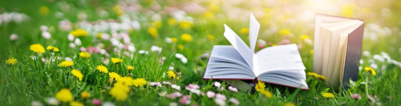 Читаем книги весной. Весеннее чтение. Лето с книгой. Книжки про весну. Книги о весне.