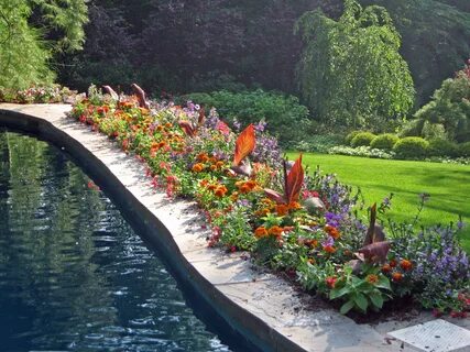 Plant pool