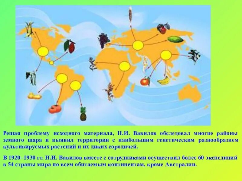 Дары нового света биология. Дары старого света биология. Дары нового света биология 6 класс. Дары нового и старого света.