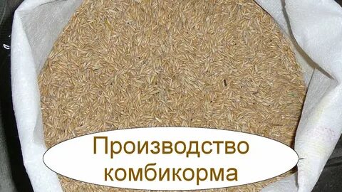 Комбикорм бизнес