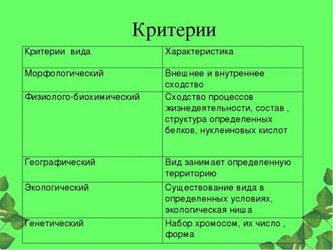 Вид определение биология 8 класс. Вид определение биология кратко. Вид его критерии и структура. Понятие вид в биологии. Вид определение биология 8 класс.