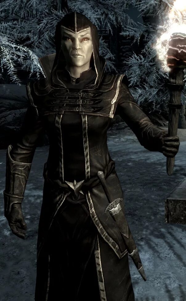 Skyrim elder scrolls wiki. The elder scrolls талмор. талморское одеяние скайрим. скайрим талмор эльфы.