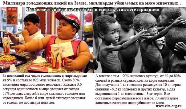 Голод долго. Статистика голодающих детей в африке.