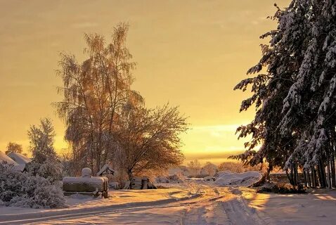 Снежань