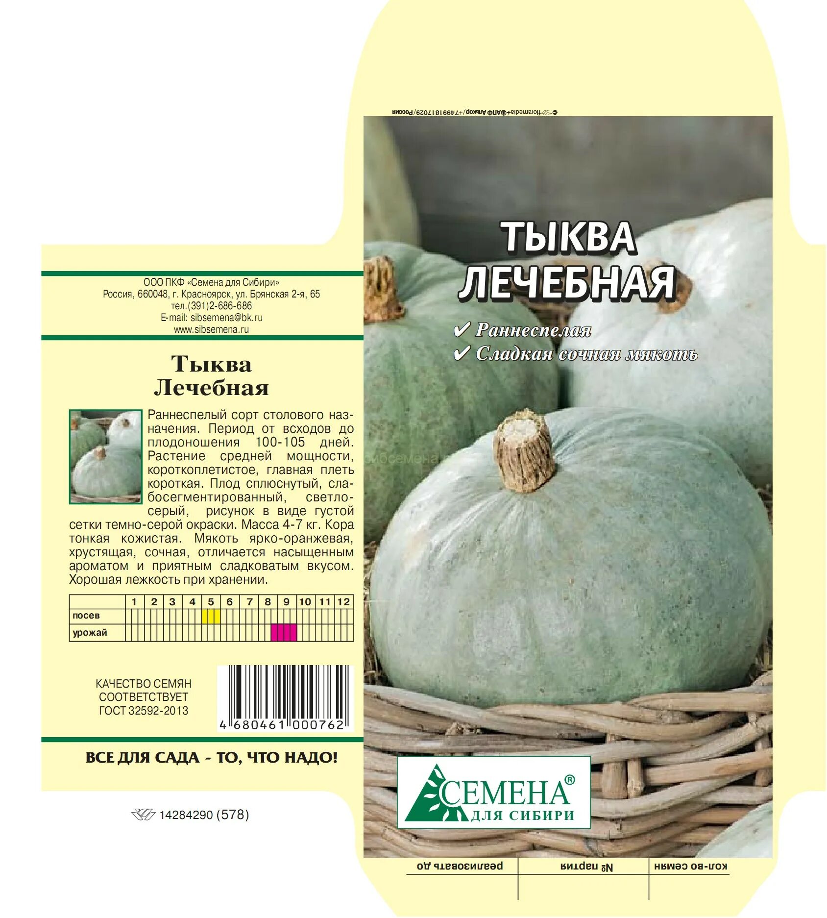 Какой сорт тыквы полезнее. Семена тыквы лечебные сорта. сорта тыквы для сибири. семена для сибири тыква. семена тыквы сорта.