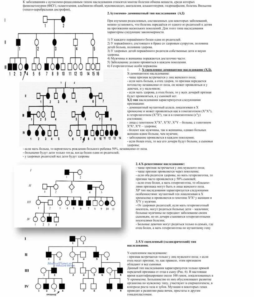 Альбинизм определяется рецессивным аутосомным