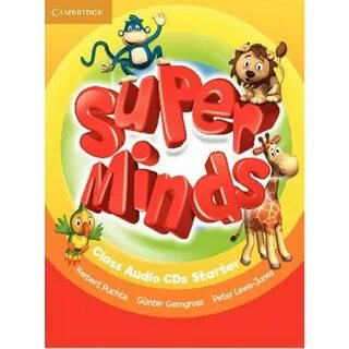 Super minds 1 practice book