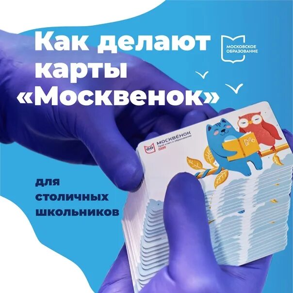 Москвенок можно оплатить проезд. Карта москвенок для школьников. новая карта москвенок. лимитированные карты школьника. как оформить карту москвенок.