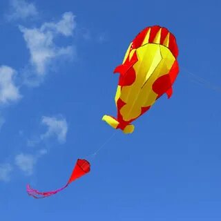 Flying kit