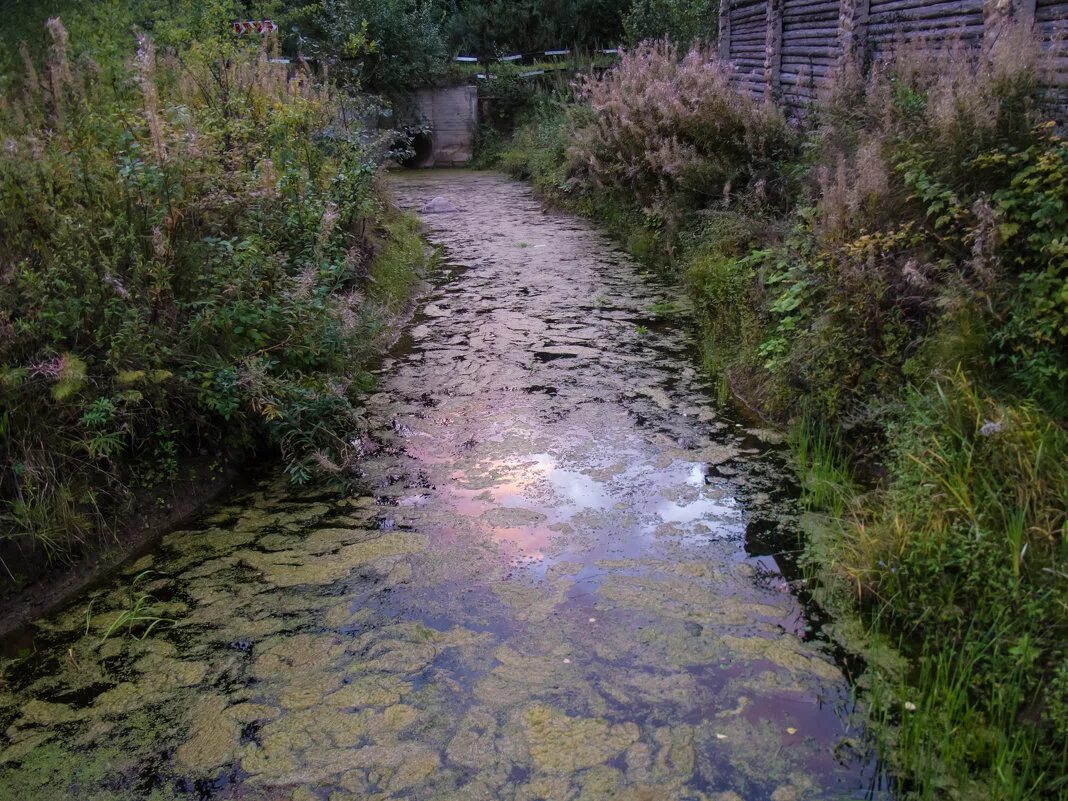 Канава большая. Руслоотводная канава. Канава большая. Габионы водоотводная канава. Огромная канава.