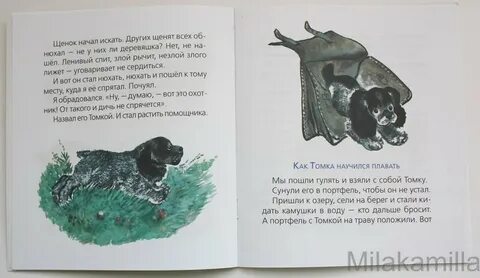 Рассказ про щенка 2