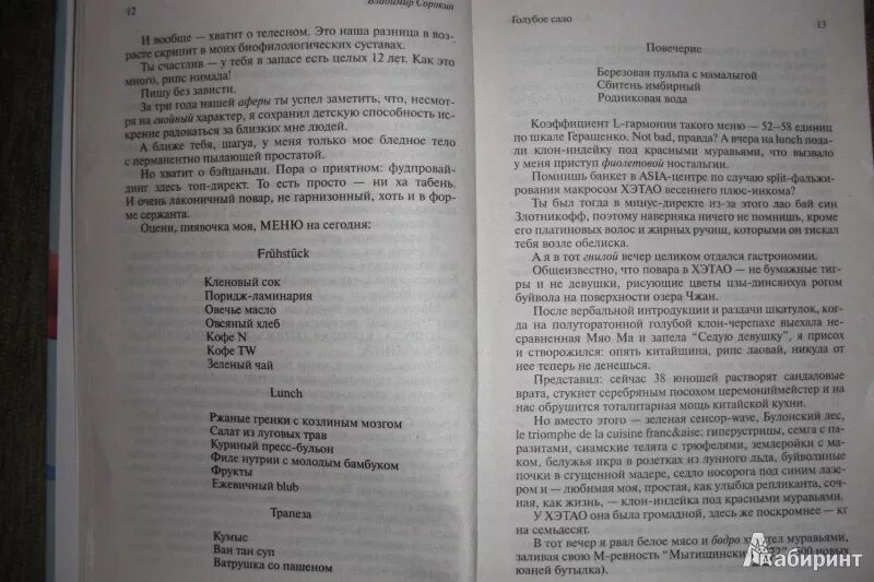 Голубое сало читать полностью 258 страница. Голубое сало. отрывок из книги голубое сало.