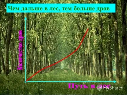Чем больше тем лес становился гуще
