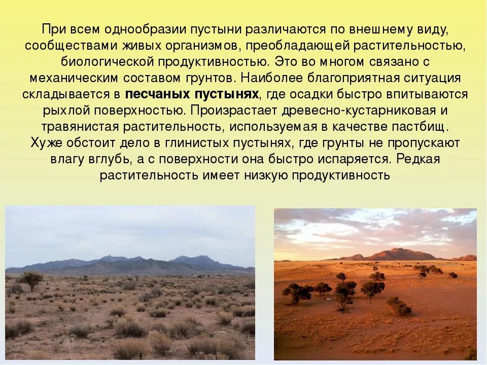 Полупустыни россии 8 класс. Полупустыни и пустыни климат растения. Субтропические пустыни и полупустыни климат Африки. Тропические и субтропические полупустыни Африки. Пустыни и полупустыни тропического пояса.