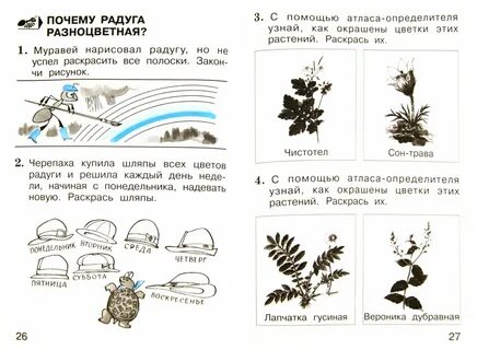 Задание по окружающему миру 1 класс распечатать