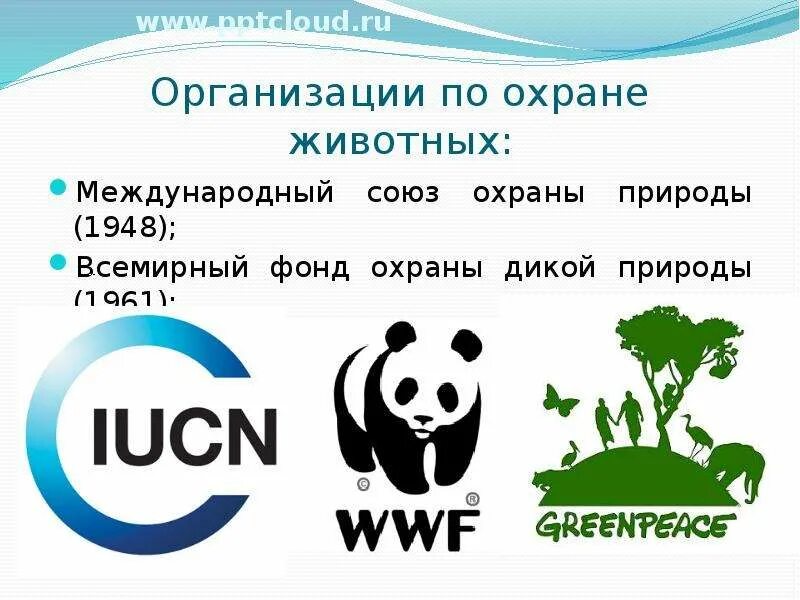 МСОП Международный Союз охраны природы. Организации по защите животных. Международные организации по охране природы. Всемирные организации по защите животных. Когда был создан союз охраны природы