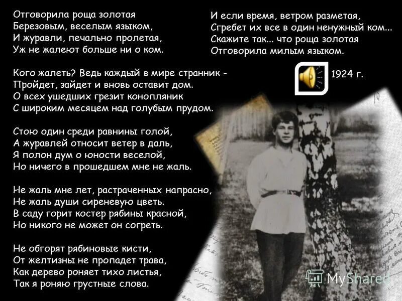 отговорила роща слушать стих. отшумела роща золотая есенин. стихотворение отговорила роща золотая есенин. отговорила роща слушать стих. стихотворение есенина отговорила роща золотая текст.